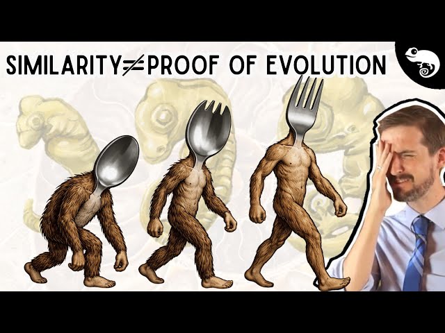 Evolutionary Biologist Reacts to Creationist Arguments