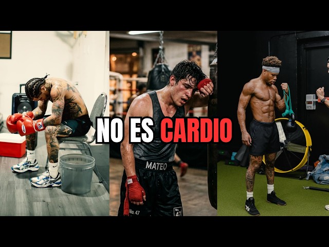 Why the Amateur Boxer Is Never Ready