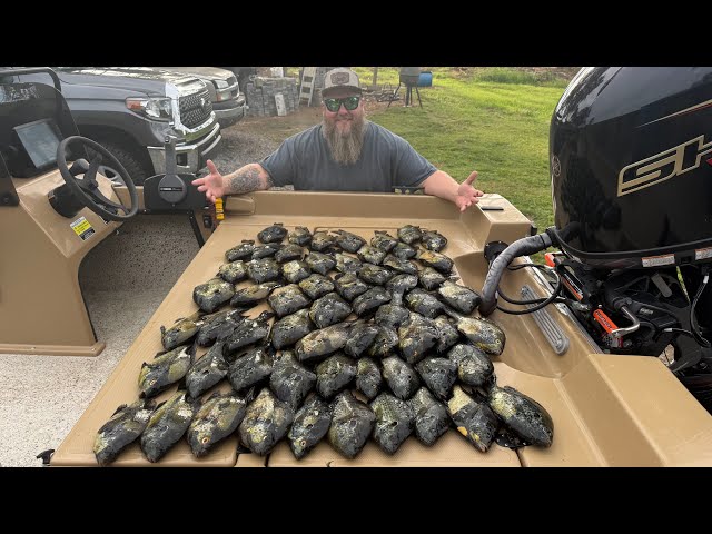 Insane Day of Fishing in South Carolina! Shellcracker and Shad - Catch, Clean, Cook