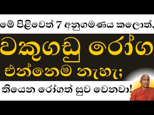 නිරෝගී වකුගඩු වෙනුවෙන්,  මේ පිළිවෙත් 7 අනුගමනය කරන්න!