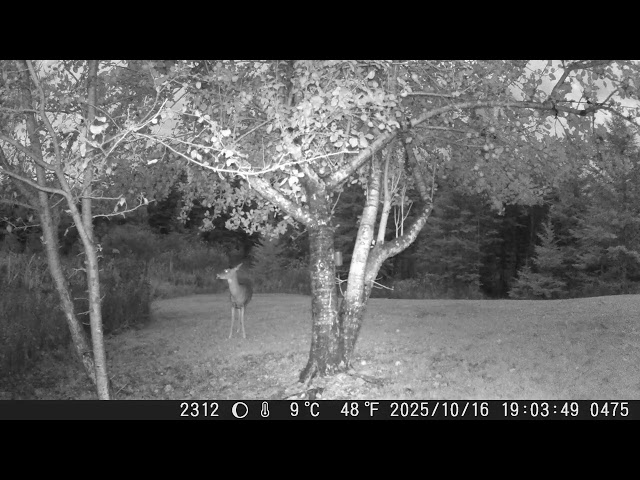 2025 — DSCF1475