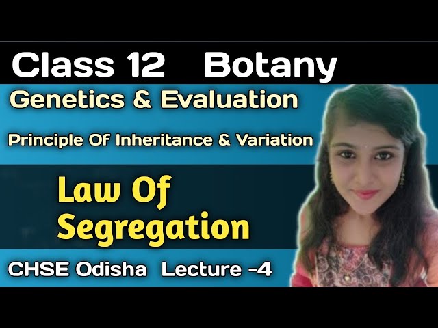 Class 12 Botany Genetics and Evaluation ||Law Of Segregation ||Chse Odisha