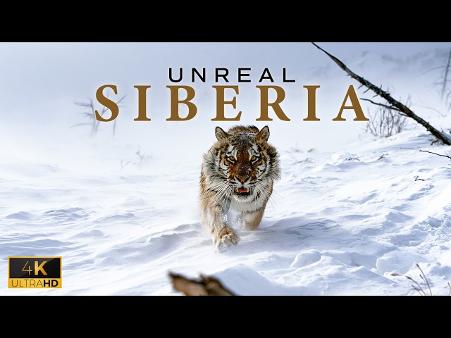 UNREAL SIBERIA - Russia's Most Brutal Wilderness!
