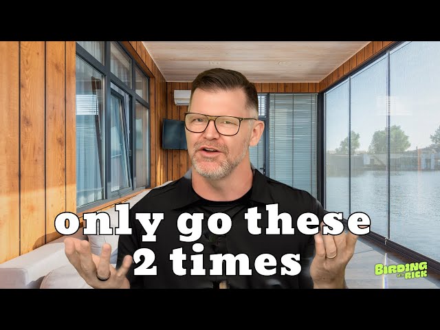 The BEST Time to Go Birding (Most People Get This Wrong)