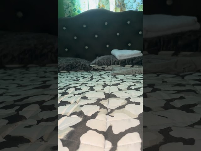 The Prophets Of Doom Speak Even After Death 