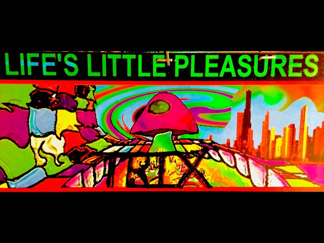 TRIX: LIFE'S LITTLE PLEASURES (CONTINUAL TRIX MIX)