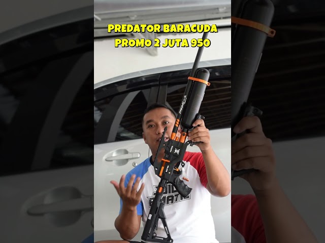 PROMO PREDATOR BARACUDA 500 CC CUMA 2 JUTA 950  #promosenapanangin #senapananginterbaik