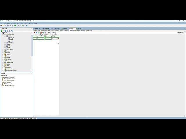 Oracle 32 Insert Data into a Table Using SQL Developer