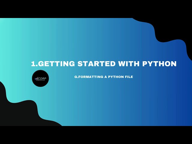 Formatting a python file