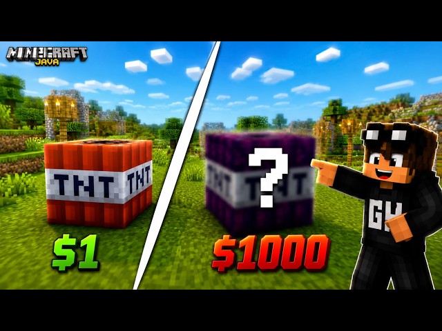 $1 VS $1000 TNTs | GAMERZHOOD | Ft. @MrBeast Parody