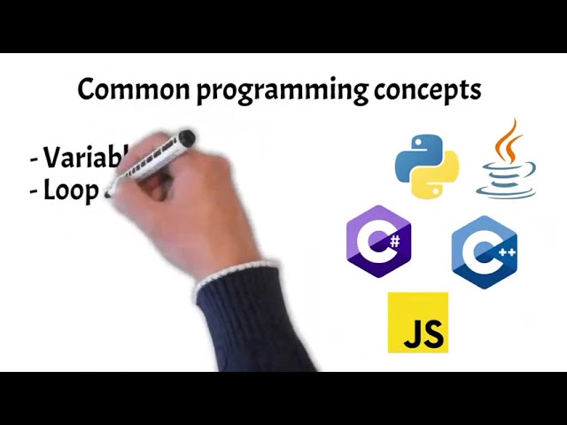PROGRAMMING BASICS: How Do Computers Understand Code?