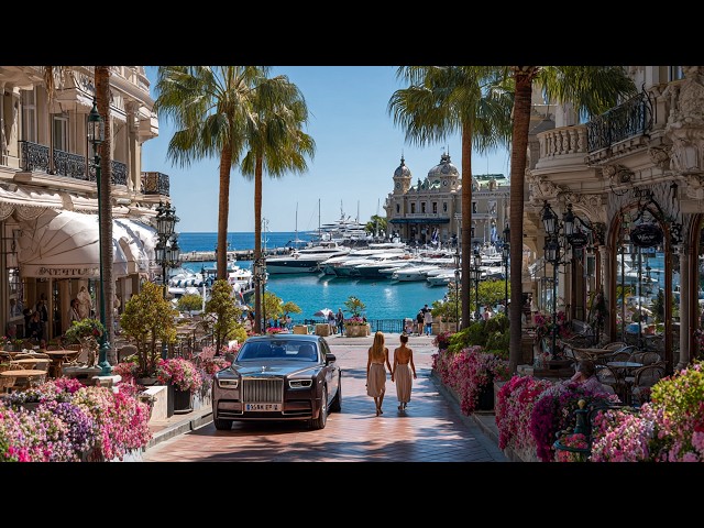 Billionaires' World: A Walk Through Monaco and Monte Carlo - Yachts, Style, and Royal Luxury