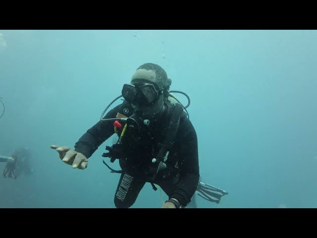Karibu ku dive na sisi #saveocean #wcb #azamtv #itv #nomadic