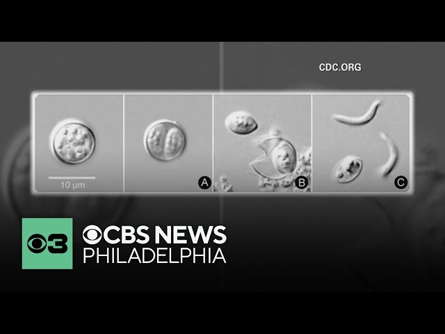 Stomach illness caused by parasite spreading to Pennsylvania and N.J., health officials warn