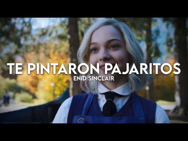 Te Pintaron Pajaritos — Andy Rivera & Yandar & Yostin | Enid Sinclair (Wednesday) 