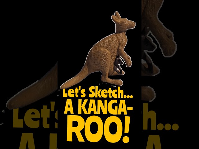 kangaroo Sketch - Sketch Daily day 317!