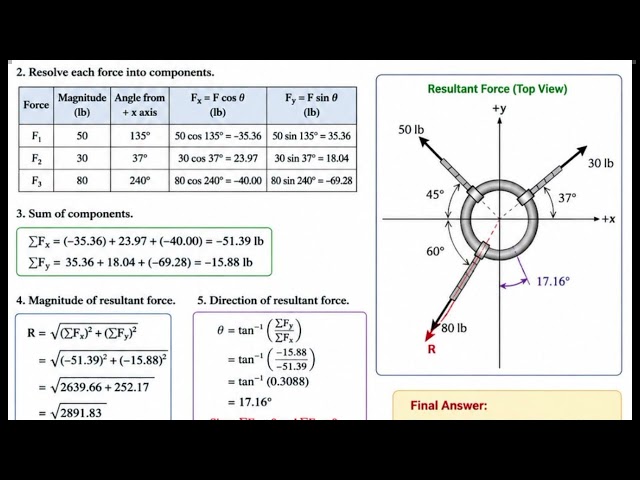 Net force on a ring. Step by step solution 