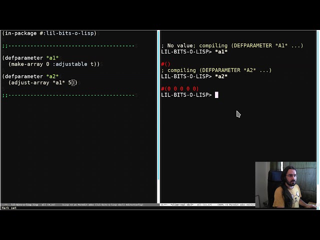 Little Bits of Lisp - Adjustable array basics