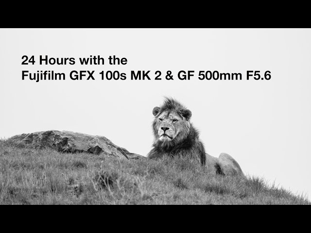 24 Hours with the Fujifilm GF 500mm F 5.6 + GFX 100s 2, photographing wildlife.