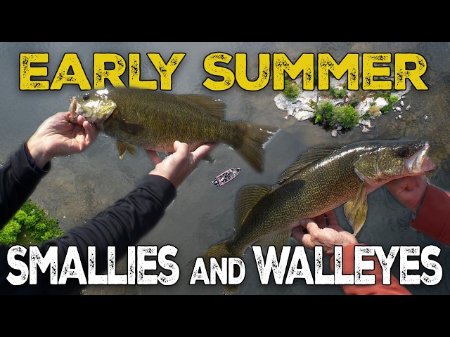 Why Rainy Lake Is Minnesota’s Hidden Gem
