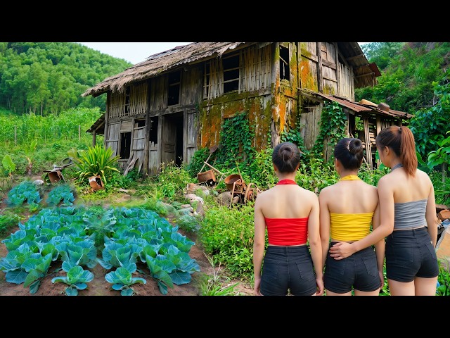 TIMELAPSE: Moved On The Forest To Rebuild Lives From Scratch – Young Girl Building Off-Grid Villa