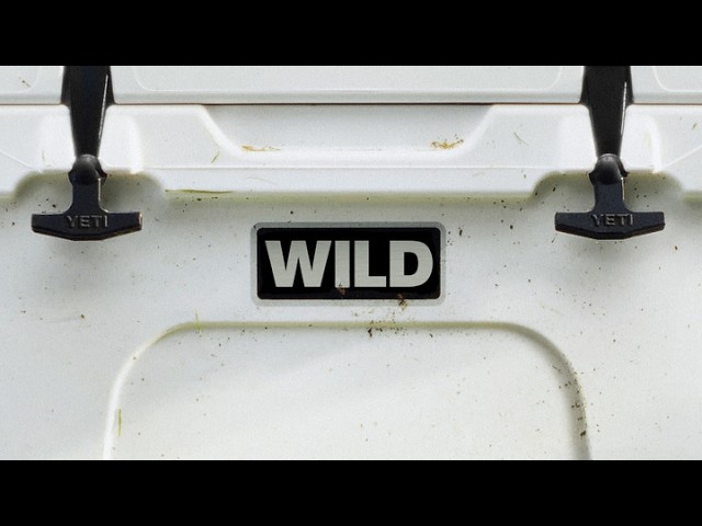 FOUR LETTERS - Anthem | YETI