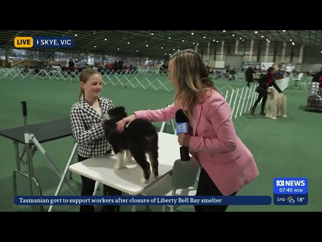 Dogs Victoria KCC Park development announcement - Junior Handlers Interview ABC News Breakfast