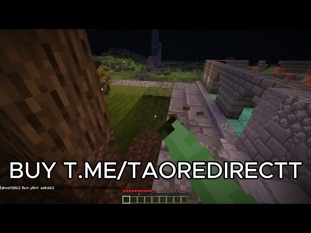Taonet vs minecraft server (protected) | HOW TO CRASH ANY MINECRAFT SERVER