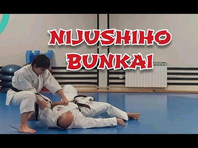 🔥 NIJUSHIHO KATA BUNKAI 🥋👊 #karate #kata #shotokan #bunkai