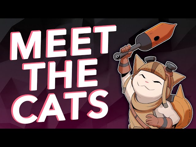 Meet the PlayFrame Cats!