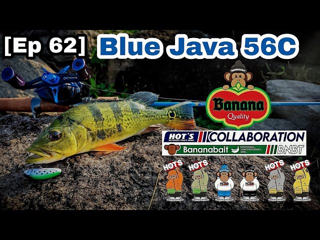 [Ep 62] Bananabait x Hots! Blue Java 56C!