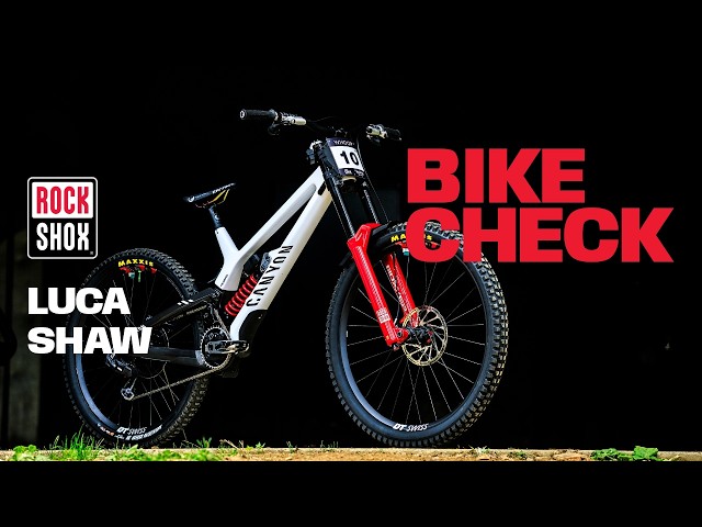 Luca Shaw's Not-So-Stock Downhill Race Bike