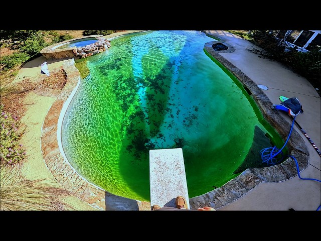 Disgusting Green Pool Transformation! POV ASMR Pool Cleaning Sounds