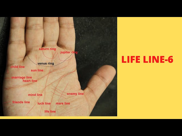 Life line-6