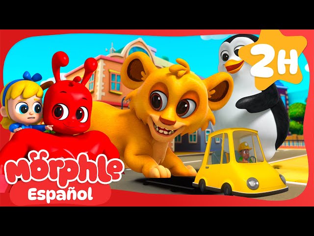 Morphle se Vuelve Gigante  Mila y Morphle en Español | Dibujos animados