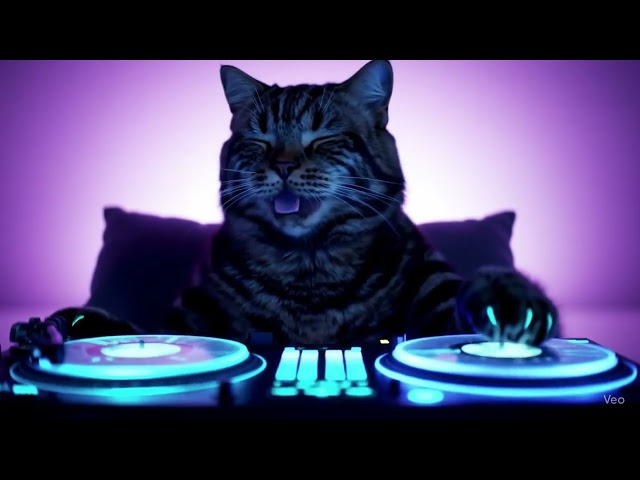 DJ MIX 2026 🔥 Loud Bass Fast Beat | Epic Festival Party EDM