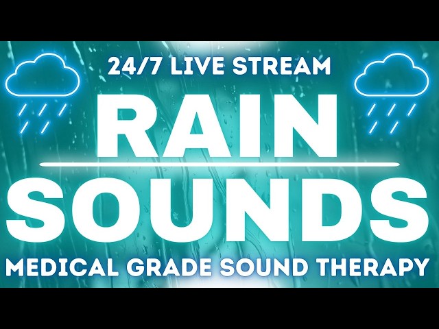 24/7 Forest Sphere Rain Sounds | Sleep Aid & Gentle Chat 🌧️