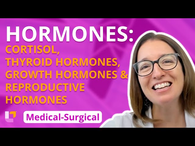 Cortisol, T3/T4, GH, Estrogen, Progesterone, Testosterone & more - Medical-Surgical | @LevelUpRN