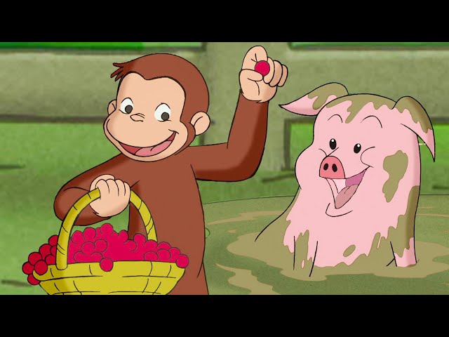 ¡Cuida la granja! | Jorge El Curioso En Español