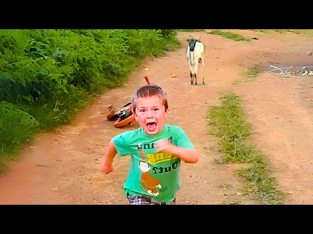 The Best Fail Moments Of The Week - Funny Kid Videos | Fails Boss