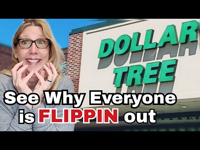 DOLLAR TREE🔥2 HOT HAULS | NEW DOLLAR TREE FINDS only $1.25