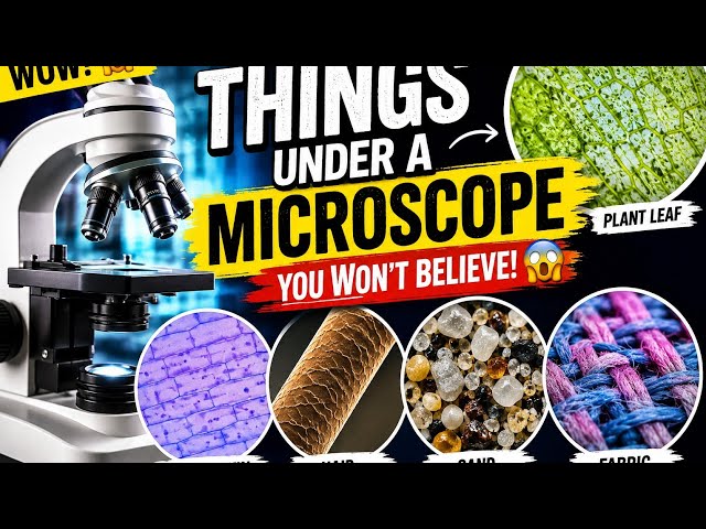 How things seen under microscope.