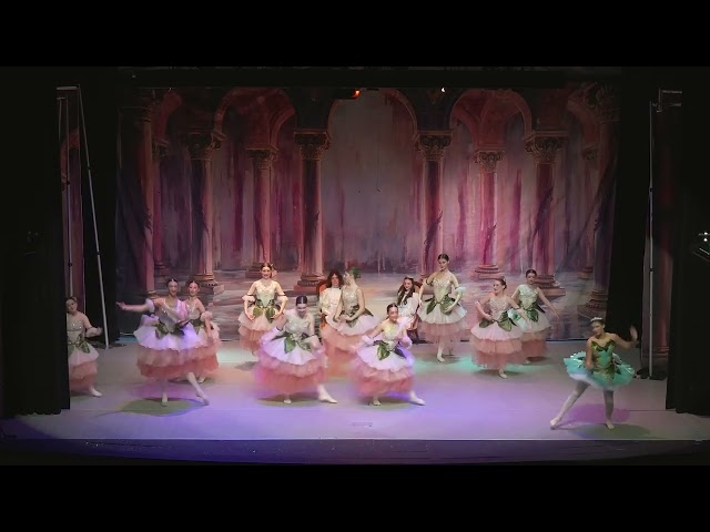Nutcracker Ballet 2025!!! Miriam played 5 roles!!! 