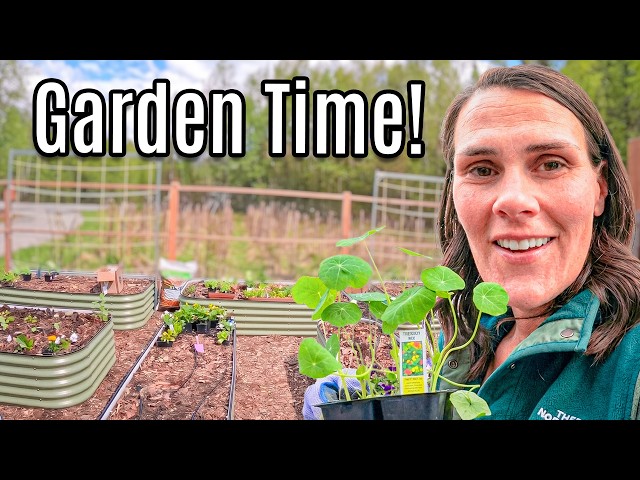 Alaska Garden Time | Shop & Plant W/ Me