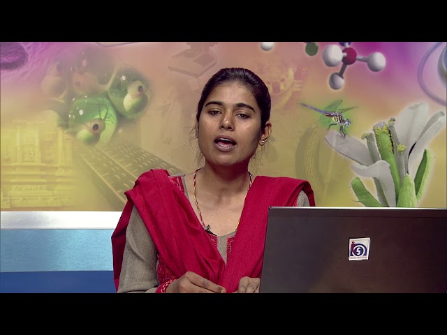 Developing Question Banks in Mathematics