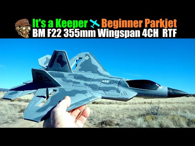 It's Definitely a Keeper! BM22 F22 355mm 4CH 6G|3D Twin Motors Gyro RTF