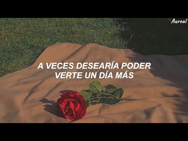Imagine Dragons - Wrecked (Traducida al Español)