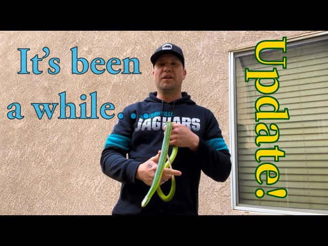 It’s been a while… update!