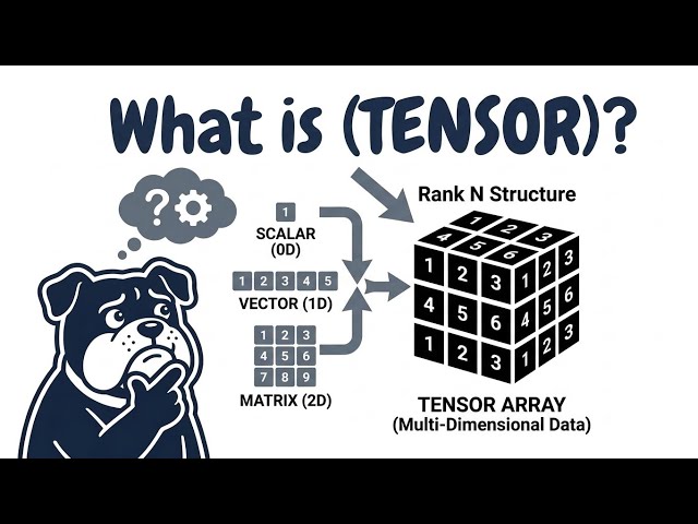 What Is The (TENSOR)? Prepare Data In C 💥🤔