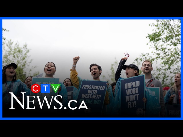 Efectos inmediatos de la huelga de WestJet en los canadienses | Asistentes de vuelo de WestJet en...
